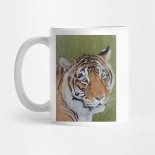 wildlife picture of big cat sad tiger Mug